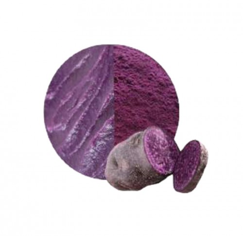 日本九洲紫薯粉